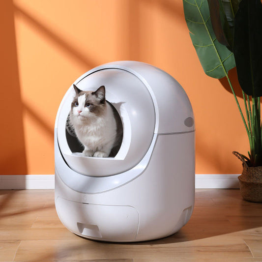 🐱 Fully Automatic Cat Litter